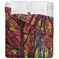 Autumn Colorful Nature Trees Duvet Cover Double Side (california King Size) by Sudhe