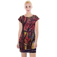 Autumn Colorful Nature Trees Cap Sleeve Bodycon Dress by Sudhe