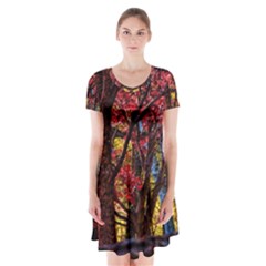 Autumn Colorful Nature Trees Short Sleeve V-neck Flare Dress by Sudhe