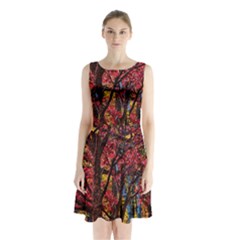 Autumn Colorful Nature Trees Sleeveless Waist Tie Chiffon Dress by Sudhe