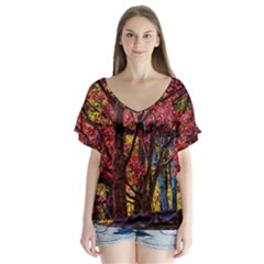 Autumn Colorful Nature Trees V-neck Flutter Sleeve Top by Sudhe