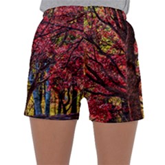 Autumn Colorful Nature Trees Sleepwear Shorts by Sudhe