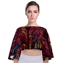 Autumn Colorful Nature Trees Tie Back Butterfly Sleeve Chiffon Top by Sudhe