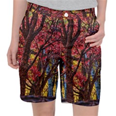 Autumn Colorful Nature Trees Pocket Shorts