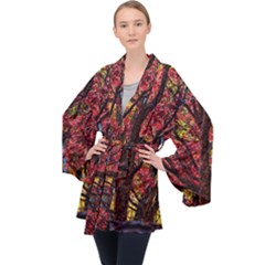 Autumn Colorful Nature Trees Velvet Kimono Robe by Sudhe