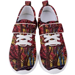 Autumn Colorful Nature Trees Women s Velcro Strap Shoes