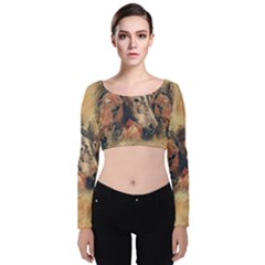 Head Horse Animal Vintage Velvet Long Sleeve Crop Top by Sudhe