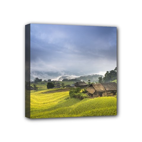 Vietnam Terraces Rice Silk Mini Canvas 4  X 4  (stretched) by Sudhe