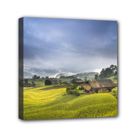 Vietnam Terraces Rice Silk Mini Canvas 6  X 6  (stretched) by Sudhe