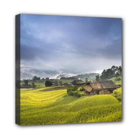 Vietnam Terraces Rice Silk Mini Canvas 8  X 8  (stretched) by Sudhe