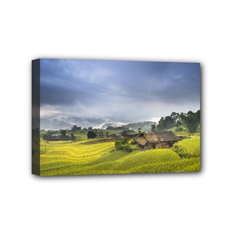 Vietnam Terraces Rice Silk Mini Canvas 6  X 4  (stretched) by Sudhe