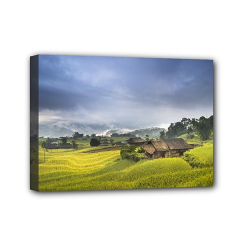 Vietnam Terraces Rice Silk Mini Canvas 7  X 5  (stretched) by Sudhe