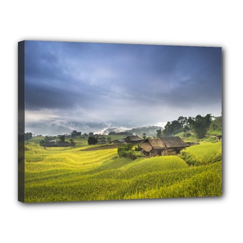 Vietnam Terraces Rice Silk Canvas 16  X 12  (stretched) by Sudhe