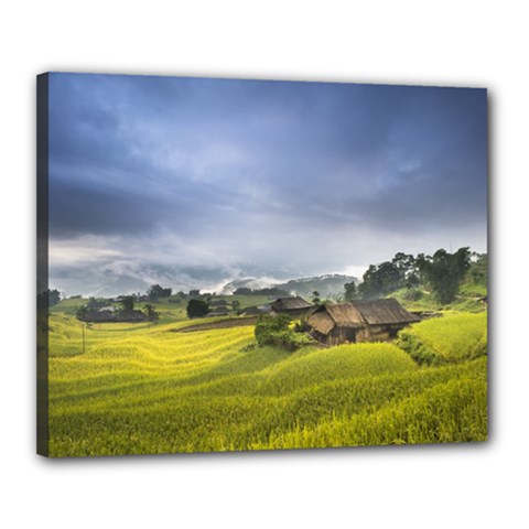 Vietnam Terraces Rice Silk Canvas 20  X 16  (stretched) by Sudhe