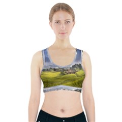 Vietnam Terraces Rice Silk Sports Bra With Pocket by Sudhe