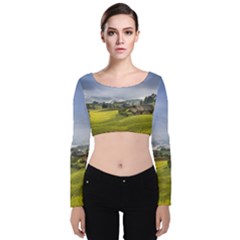 Vietnam Terraces Rice Silk Velvet Long Sleeve Crop Top by Sudhe