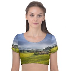 Vietnam Terraces Rice Silk Velvet Short Sleeve Crop Top  by Sudhe