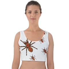 Nature Insect Natural Wildlife Velvet Crop Top by Sudhe