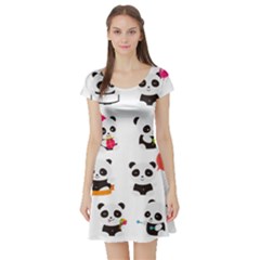 Giant Panda Bear Cuteness Short Sleeve Skater Dress by Sudhe