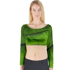 Green Leaf Plant Freshness Color Long Sleeve Crop Top by Pakrebo