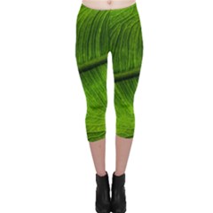 Green Leaf Plant Freshness Color Capri Leggings  by Pakrebo