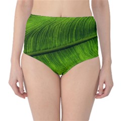 Green Leaf Plant Freshness Color Classic High-waist Bikini Bottoms by Pakrebo