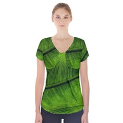 Green Leaf Plant Freshness Color Short Sleeve Front Detail Top by Pakrebo