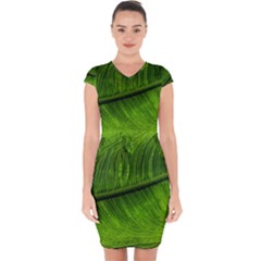 Green Leaf Plant Freshness Color Capsleeve Drawstring Dress  by Pakrebo