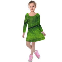 Green Leaf Plant Freshness Color Kids  Long Sleeve Velvet Dress