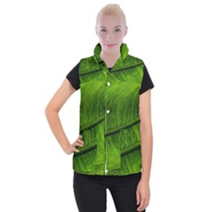 Green Leaf Plant Freshness Color Women s Button Up Vest by Pakrebo