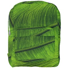 Green Leaf Plant Freshness Color Full Print Backpack by Pakrebo