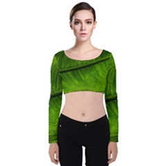 Green Leaf Plant Freshness Color Velvet Long Sleeve Crop Top by Pakrebo