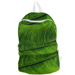 Green Leaf Plant Freshness Color Foldable Lightweight Backpack by Pakrebo