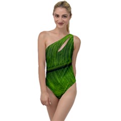 Green Leaf Plant Freshness Color To One Side Swimsuit by Pakrebo