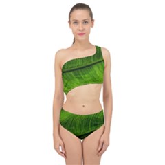 Green Leaf Plant Freshness Color Spliced Up Two Piece Swimsuit by Pakrebo