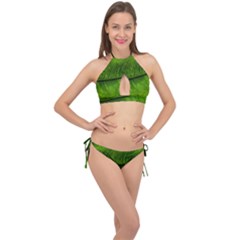 Green Leaf Plant Freshness Color Cross Front Halter Bikini Set by Pakrebo