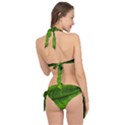 Green Leaf Plant Freshness Color Tie It Up Bikini Set View2