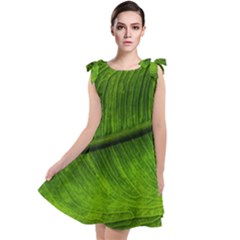 Green Leaf Plant Freshness Color Tie Up Tunic Dress by Pakrebo