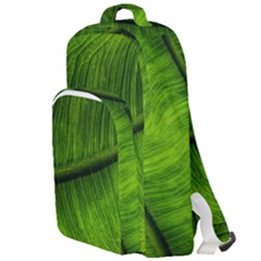 Green Leaf Plant Freshness Color Double Compartment Backpack by Pakrebo