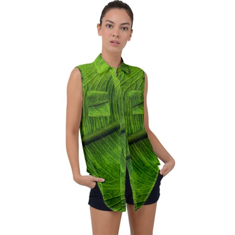 Green Leaf Plant Freshness Color Sleeveless Chiffon Button Shirt by Pakrebo