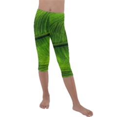 Green Leaf Plant Freshness Color Kids  Lightweight Velour Capri Leggings 