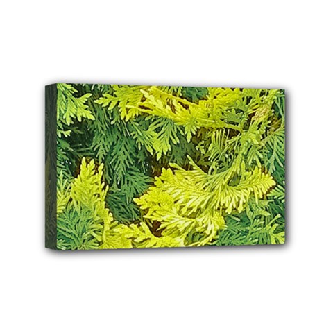 Garden Of The Phoenix Mini Canvas 6  X 4  (stretched) by Riverwoman