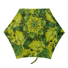 Garden Of The Phoenix Mini Folding Umbrellas