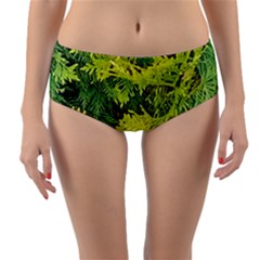 Garden Of The Phoenix Reversible Mid-waist Bikini Bottoms by Riverwoman