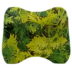 Garden Of The Phoenix Velour Head Support Cushion by Riverwoman