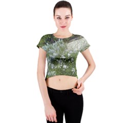 Lurie Garden Amsonia Crew Neck Crop Top by Riverwoman