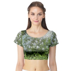 Lurie Garden Amsonia Short Sleeve Crop Top by Riverwoman