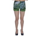 Lurie Garden Amsonia Skinny Shorts View1