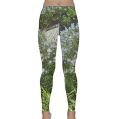 Lurie Garden Amsonia Classic Yoga Leggings by Riverwoman