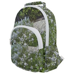 Lurie Garden Amsonia Rounded Multi Pocket Backpack